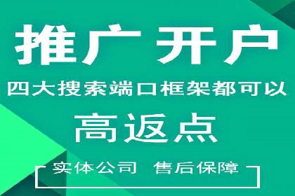 某企业SEM推广策略的调整与效果提升