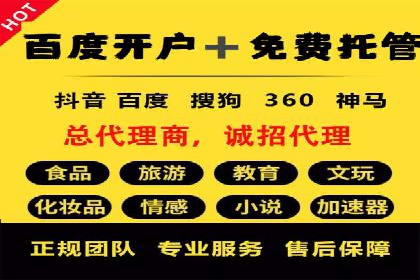 案例研究：信息流广告投放优化